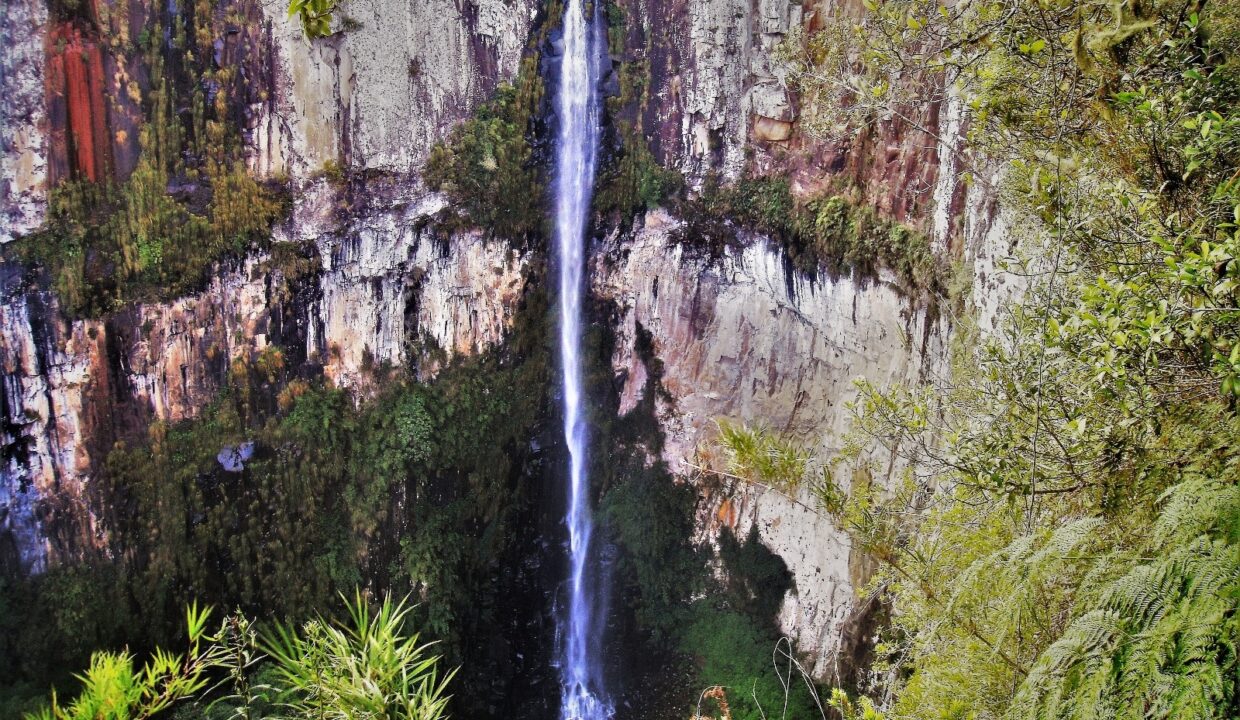 Copy of 20 DEZ (146)