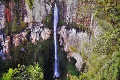 Copy of 20 DEZ (146)